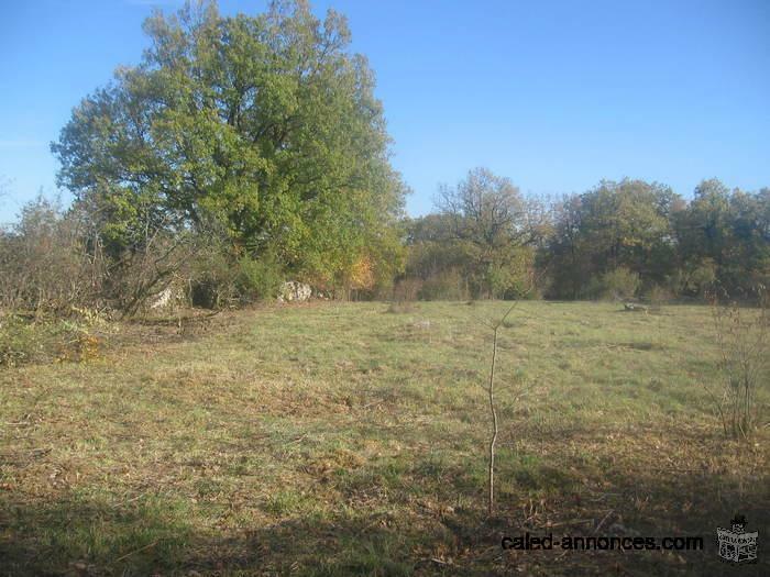 SPLENDIDE TERRAIN de 4750 m2 à CORN 46100 ( FRANCE )