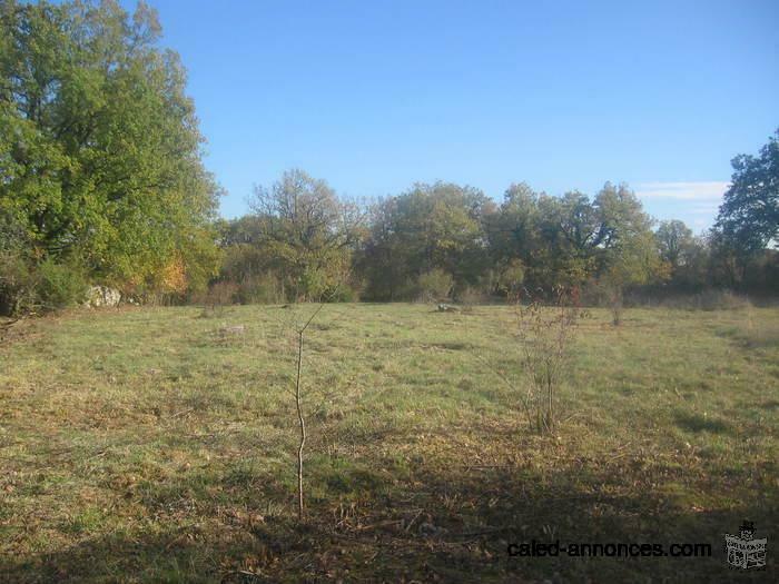 SPLENDIDE TERRAIN de 4750 m2 à CORN 46100 ( FRANCE )