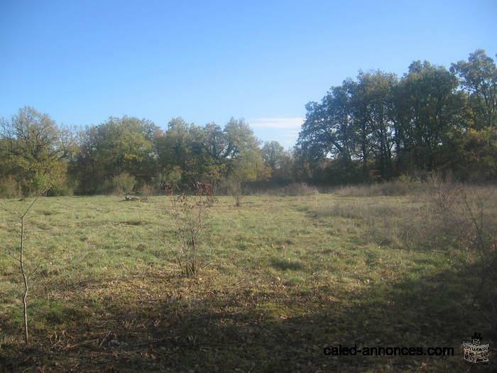 SPLENDIDE TERRAIN de 4750 m2 à CORN 46100 ( FRANCE )