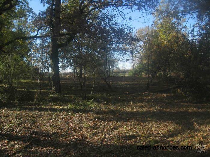 SPLENDIDE TERRAIN de 4750 m2 à CORN 46100 ( FRANCE )