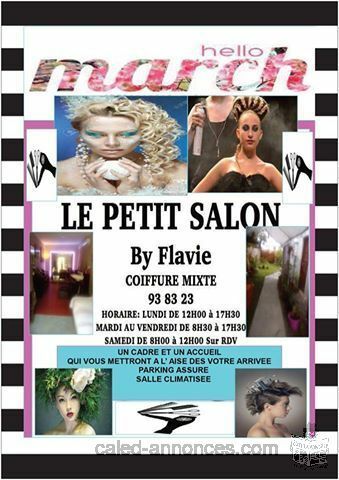 le Petit Salon By Flavie, coiffure mixte